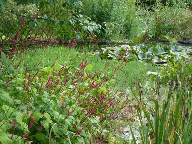 Gastenkamers Vitrac 43083