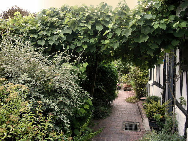 Hemvistelse Fay-les-Étangs 42975