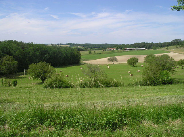Gästrum Agonac 30175