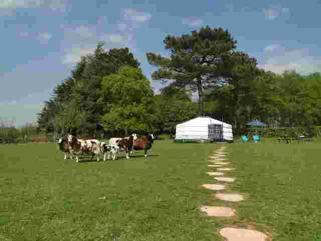 Chambres D'hôtes Guidel 35675-3