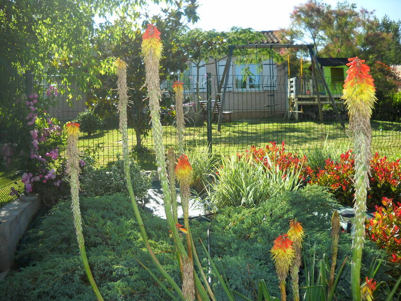 Bed And Breakfast Rabastens 136233-5