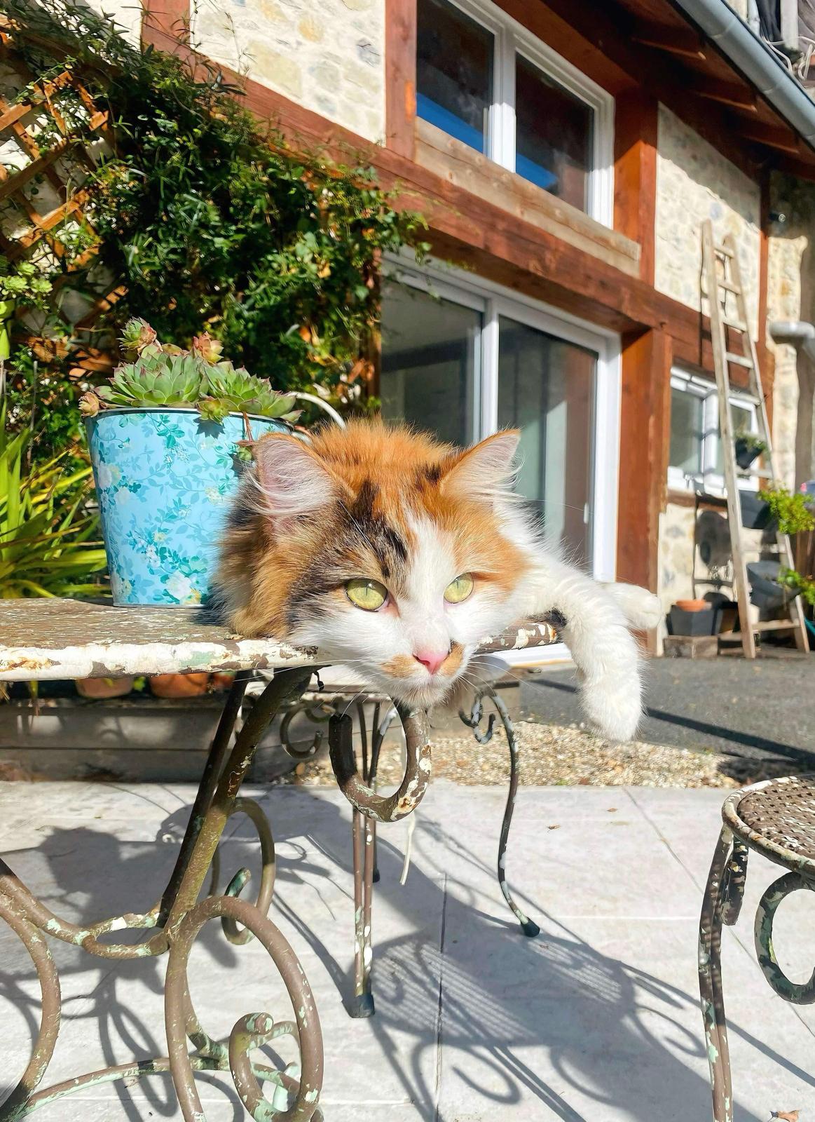 Chambres D'hôtes Régades 661868