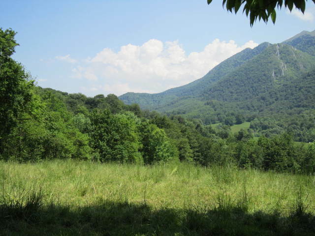 Gaascht Zëmmeren Oloron-Sainte-Marie 59282