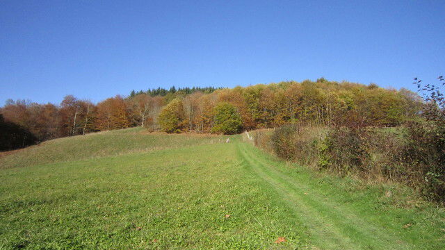 Gaascht Zëmmeren Oloron-Sainte-Marie 59282