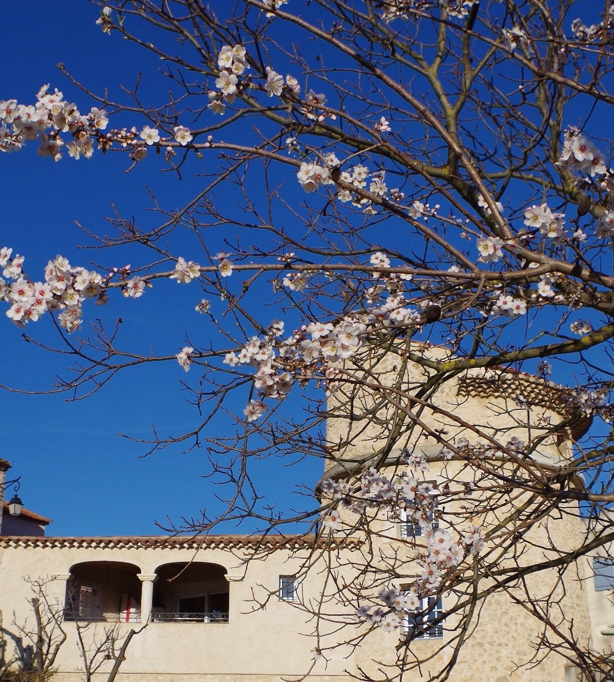Gästrum Artignosc-sur-Verdon 97478
