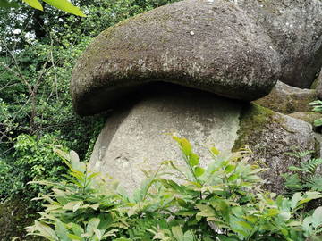 Chambre d'hôte à louer à Saint-Christophe - photo 12-12