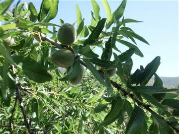 Quedarse En Casa Torre Delle Stelle (Maracalagonis) 248639-10