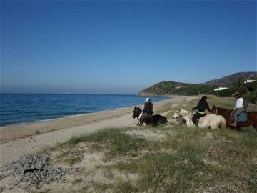 Quedarse En Casa Torre Delle Stelle (Maracalagonis) 248639-11