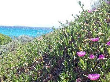 Quedarse En Casa Torre Delle Stelle (Maracalagonis) 248639-12