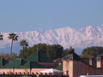Chambre D'hôte Mulhouse 137968-8