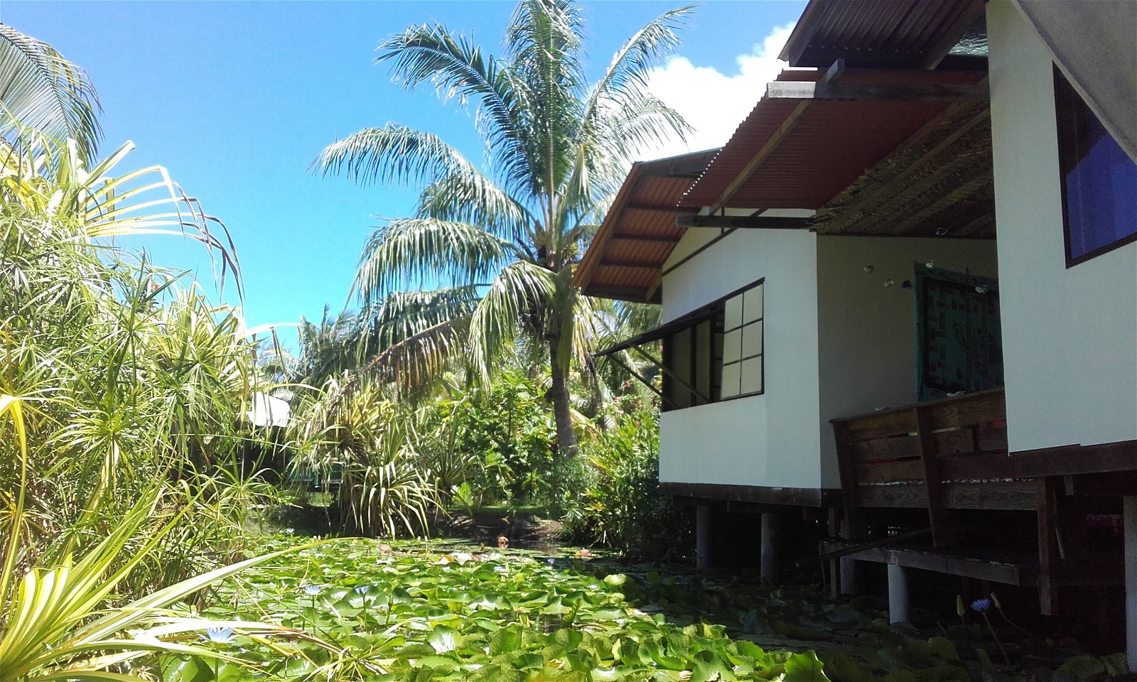 Chambres D'hôtes Îles Sous-le-Vent 175376