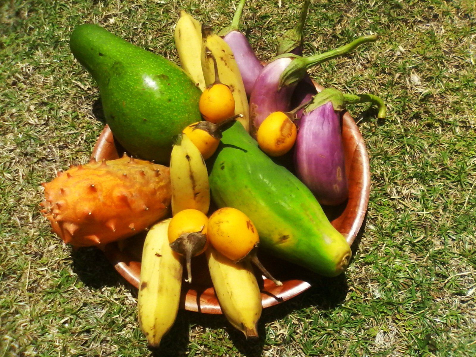 Chambres D'hôtes Îles Sous-le-Vent 175376
