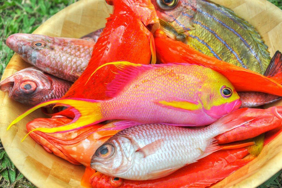 Chambres D'hôtes Îles Sous-le-Vent 175376