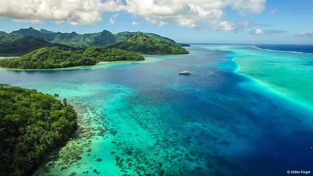 Chambres D'hôtes Îles Sous-le-Vent 175376