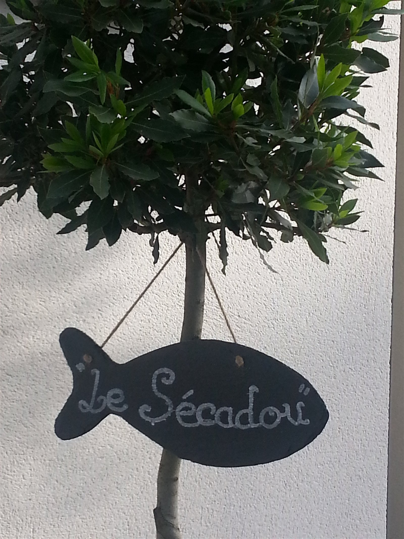 Vierashuoneet La Ciotat 103913