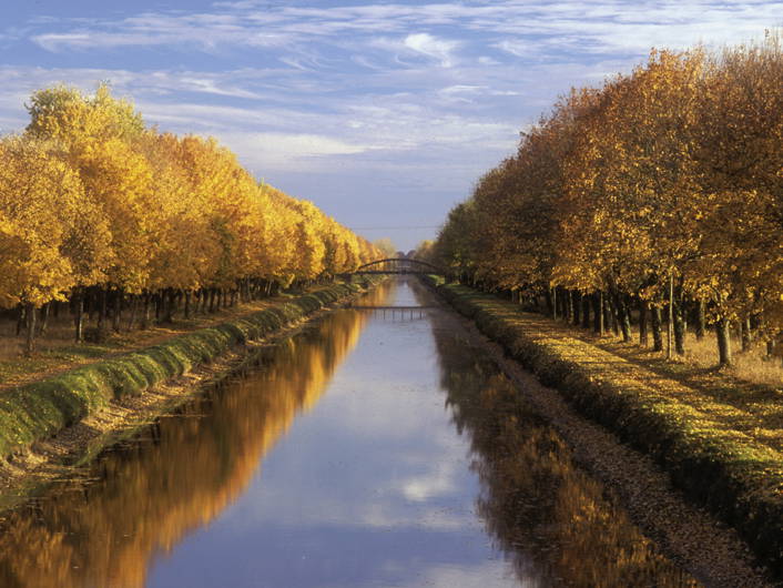 Quedarse En Casa Saint-Porquier 108902-3