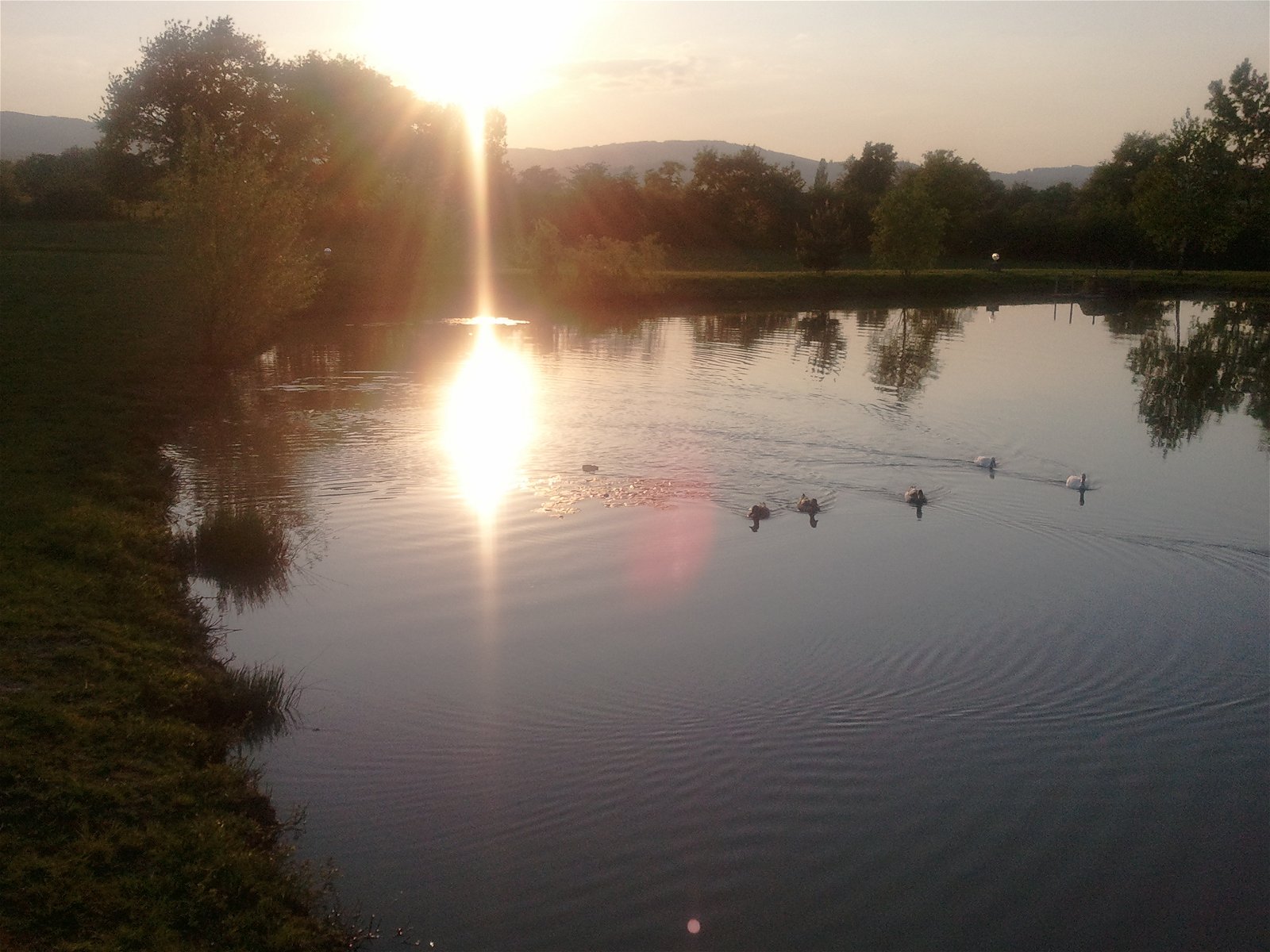 Quartos De Hóspedes Saint-Germain-Lespinasse 125277