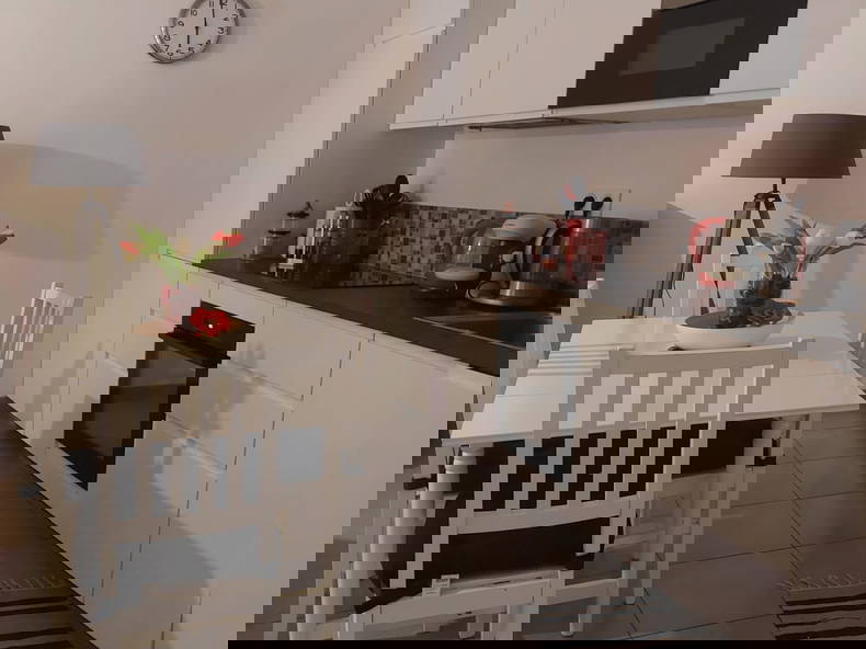 Chambre Chez L'habitant Strasbourg 452265-1