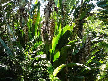 Chambre D'hôte Grand Baie 188164-11