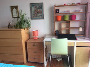 Room In Apartment In Grenoble