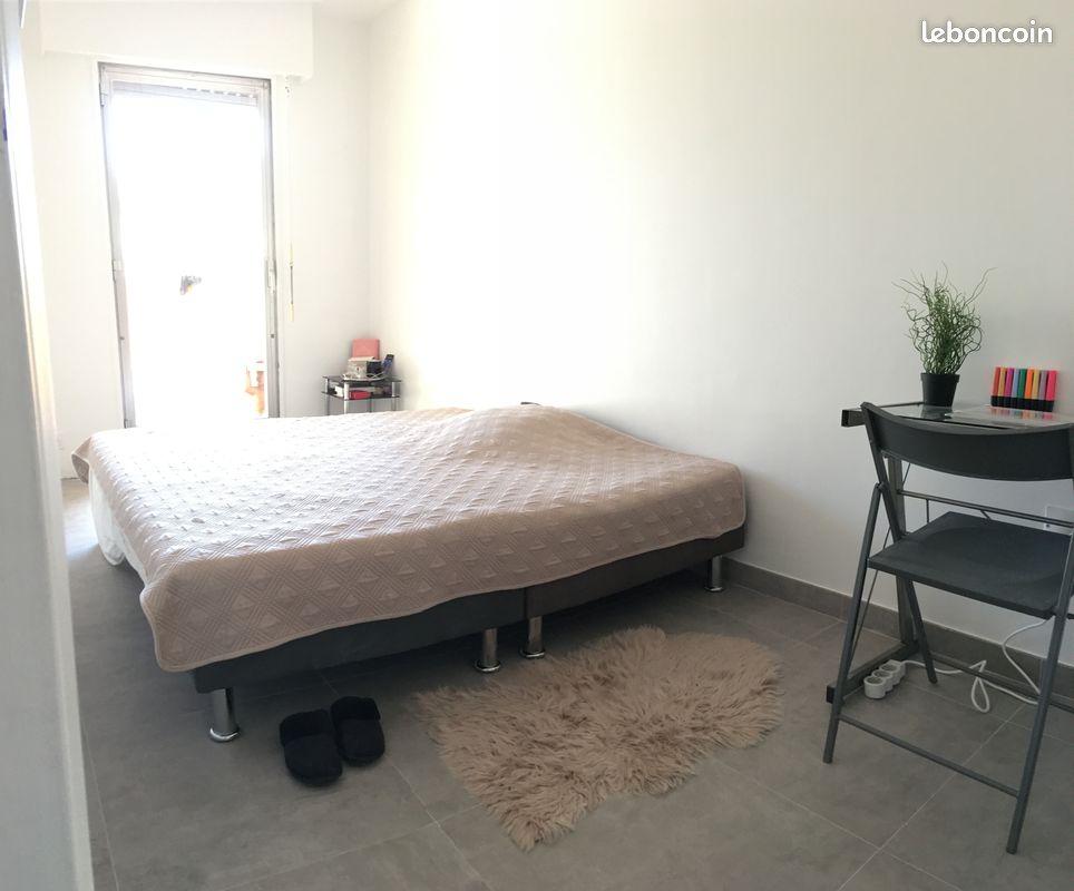 Colocation Nice 484256