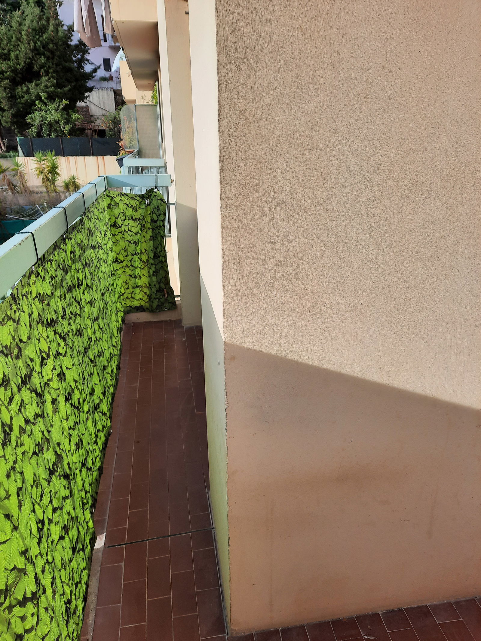 Colocation Nice 484256