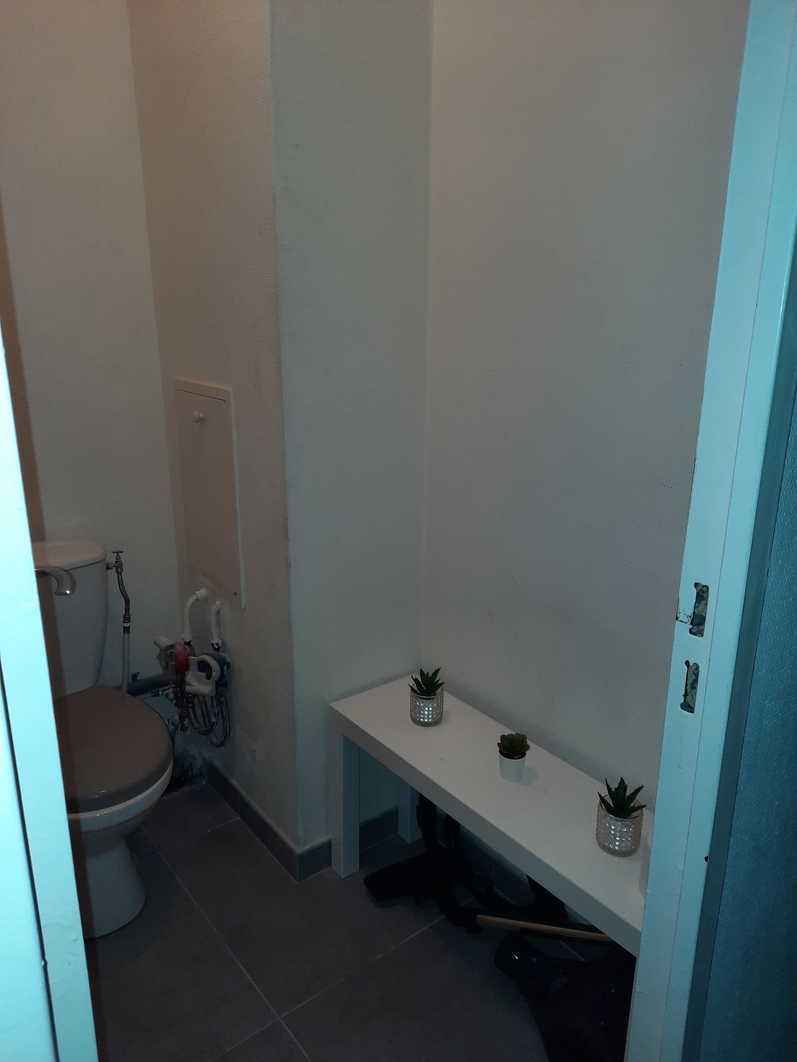 Colocation Nice 484256