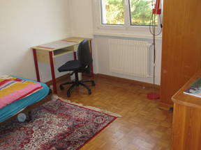 Room in furnished apartment shared with 3 men