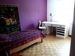 Colocation Fribourg 527567