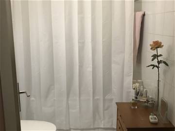 Room For Rent Genève  30031