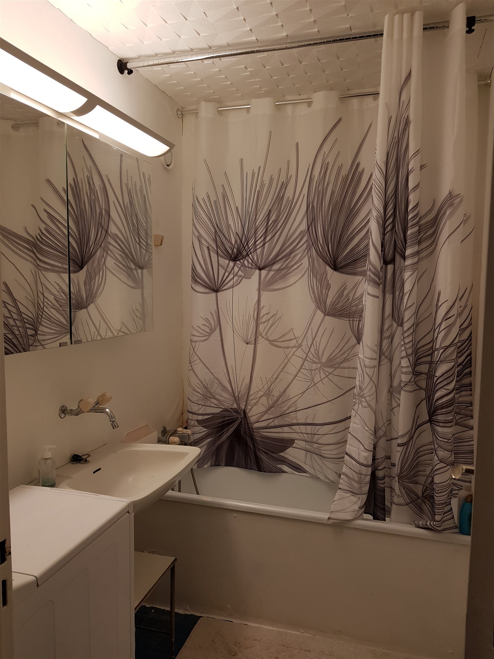 Colocation Ferney-Voltaire 213348