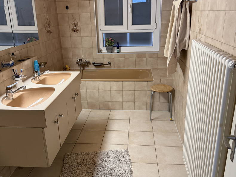 Colocation Vevey 656343-2
