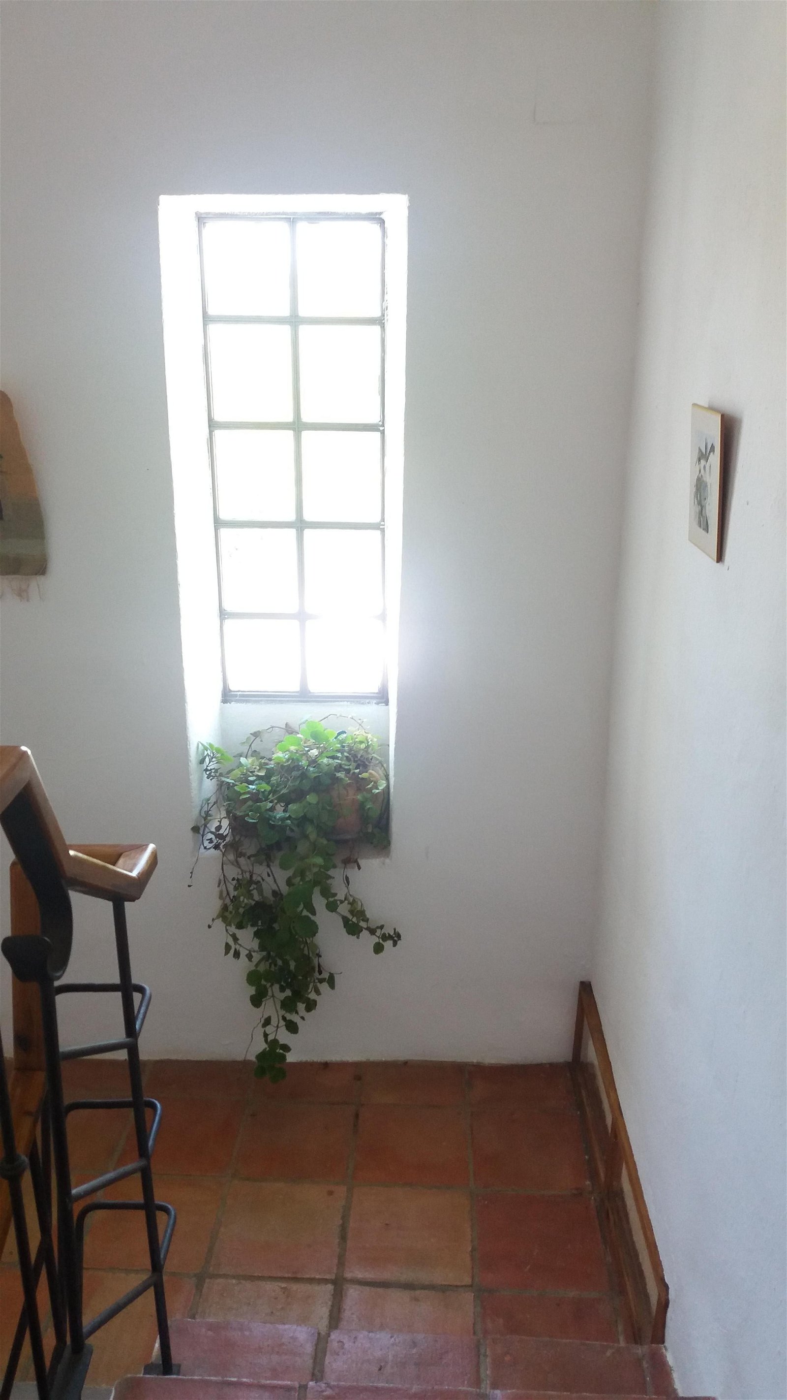 Chambres D'hôtes Castaño del Robledo 144355