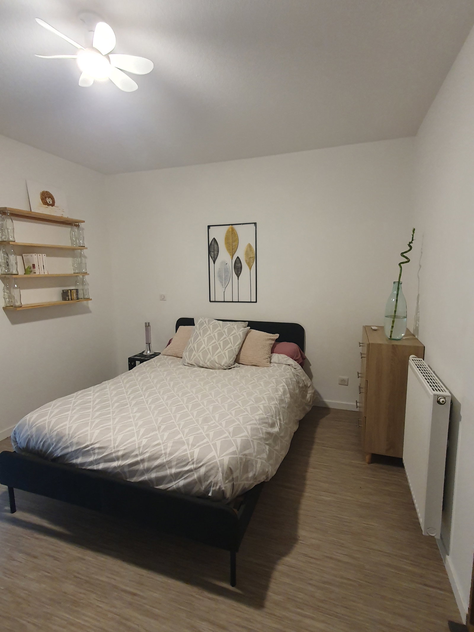 Colocation Bordeaux 678205