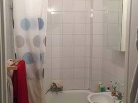 Kolokasie Paris 196683-4