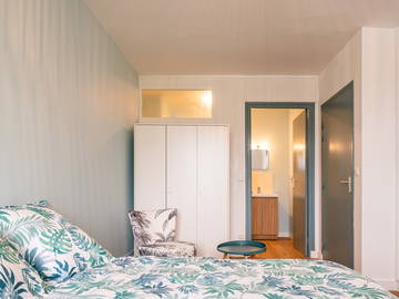 Colocation Pau 636098-13