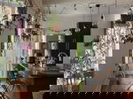 Gedeelde Accommodatie Montréal 549845
