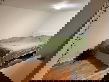 Colocation Montréal 547560-4