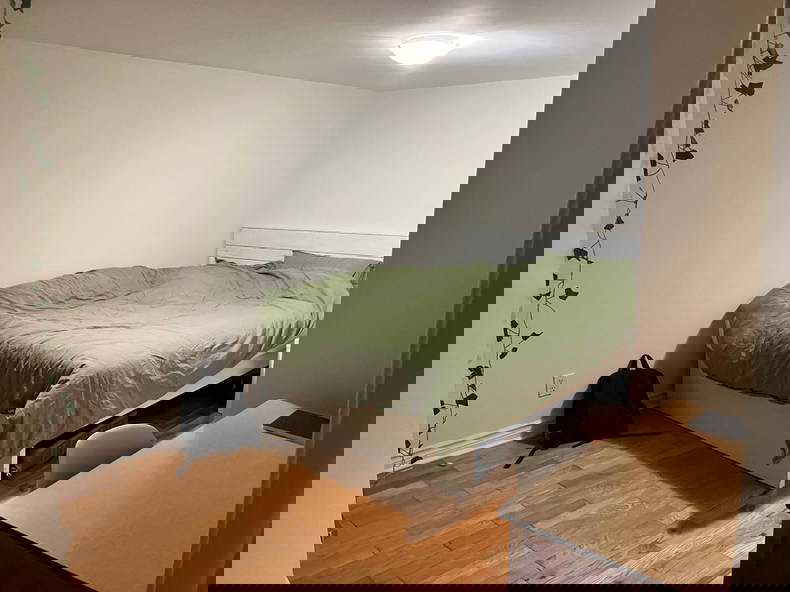 Kolokation Montréal 547560-4