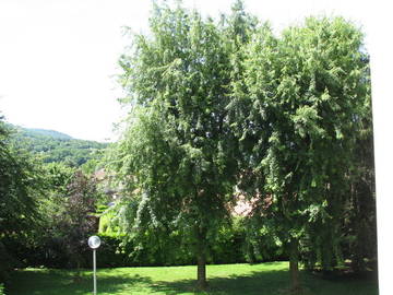 Chambre À Louer Saint Martin D'hères 3217