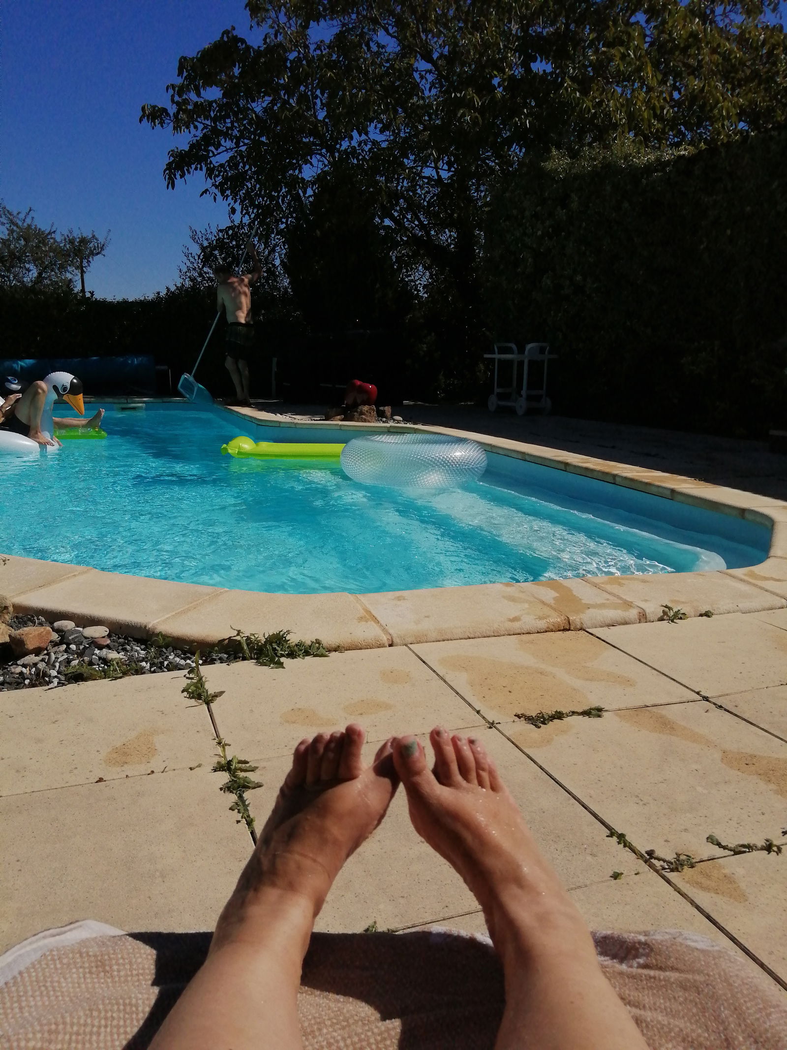 Studio Indépendant Puy-de-Serre 242477