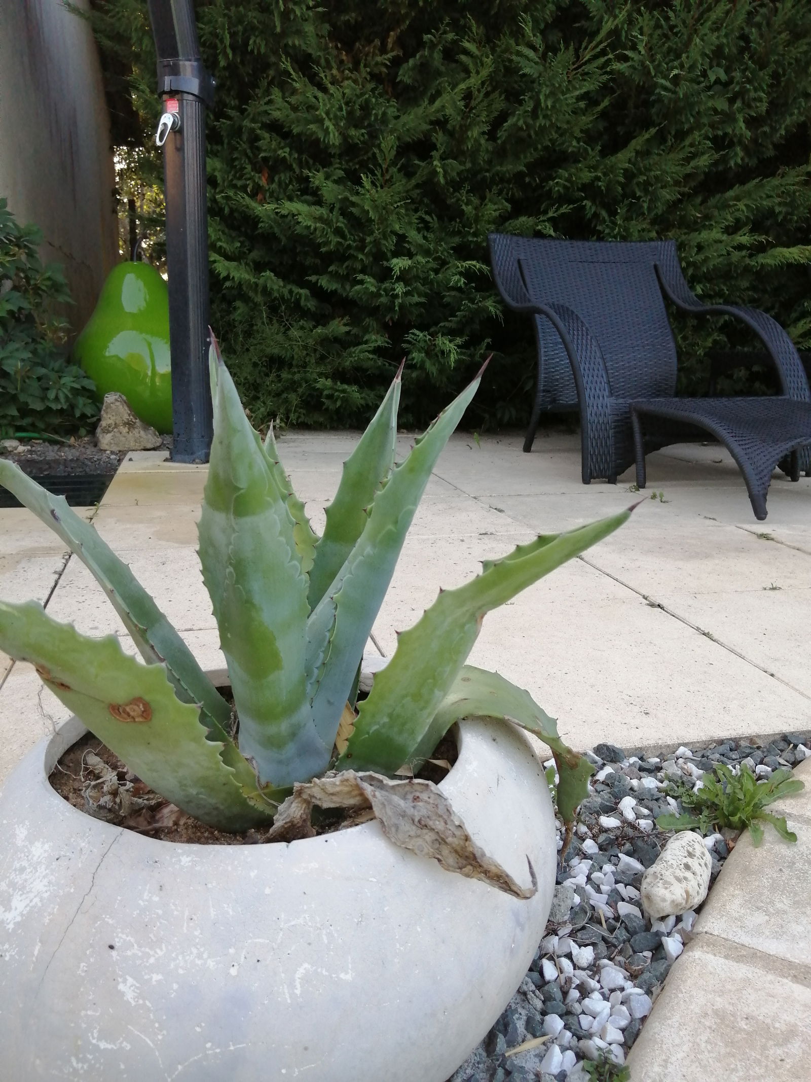 Studio Indépendant Puy-de-Serre 242477