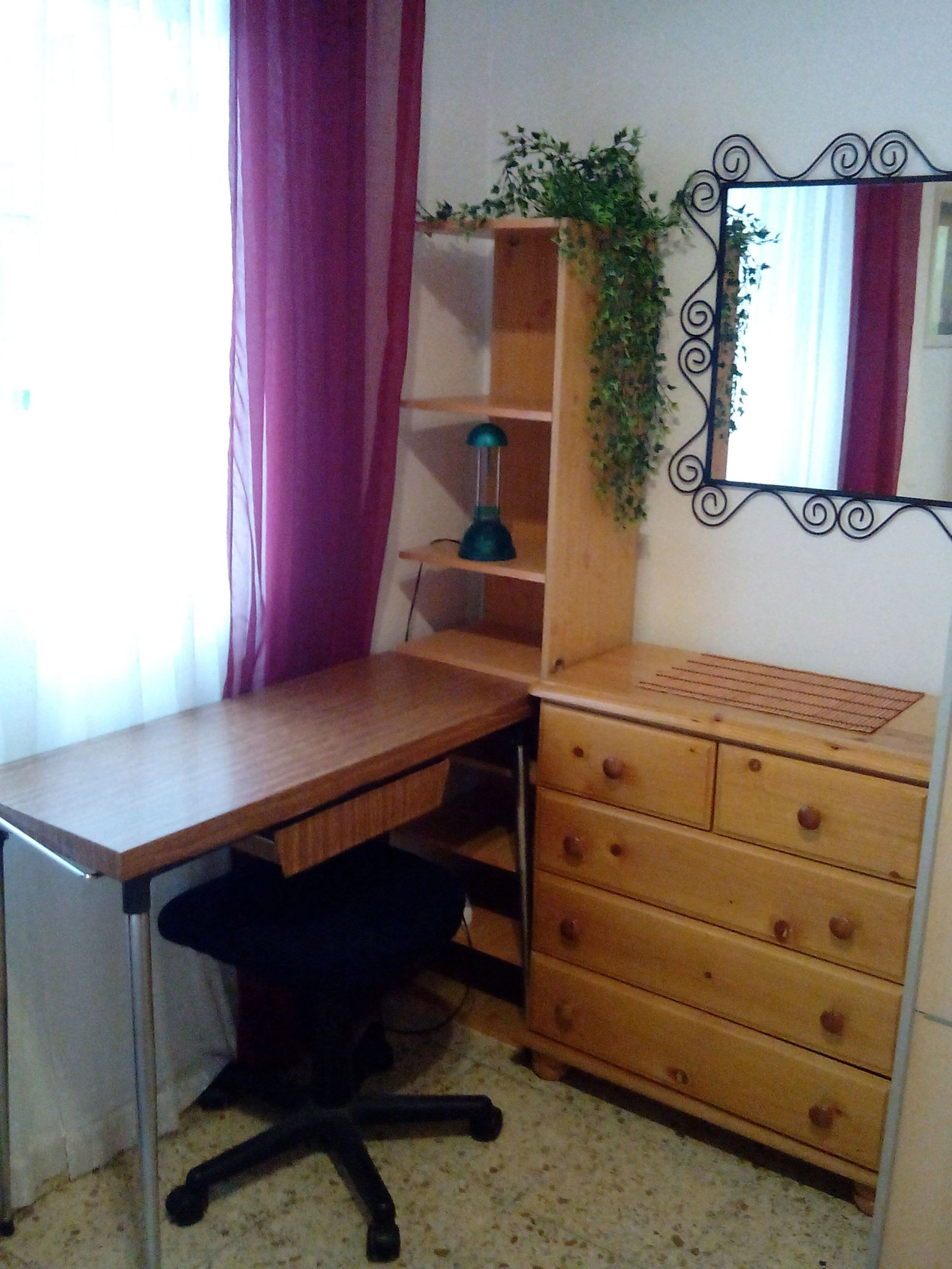 Colocation Valladolid 118530