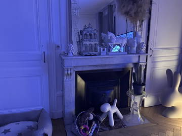 Chambre chez l'habitant à louer à Lyon - photo 7 : autre pièce-7