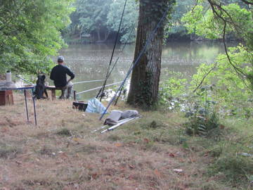 Chambre Chez L'habitant Torfou 133185-9