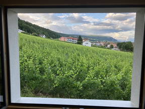 Zimmer in den Weinbergen