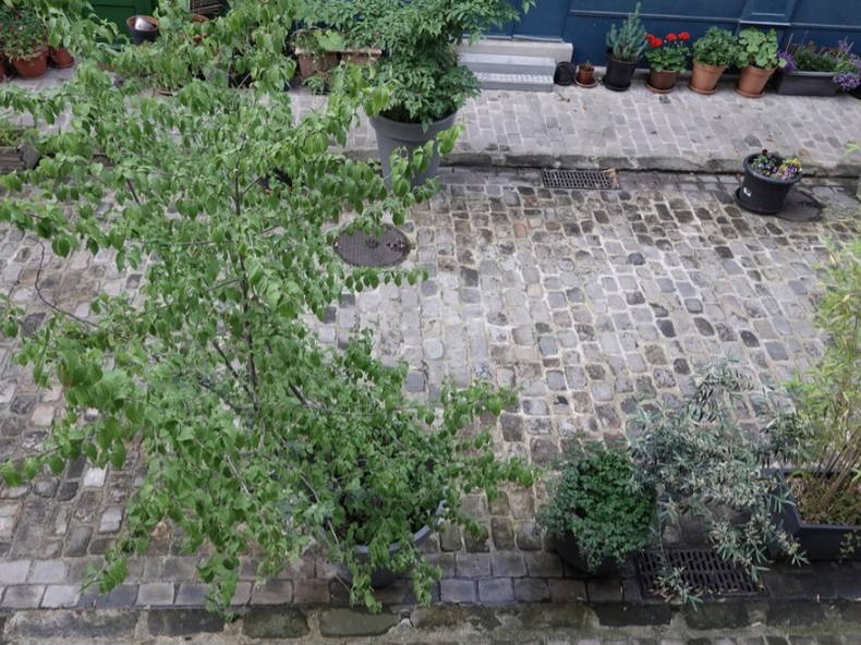 Gastfamilie Paris 486715-3