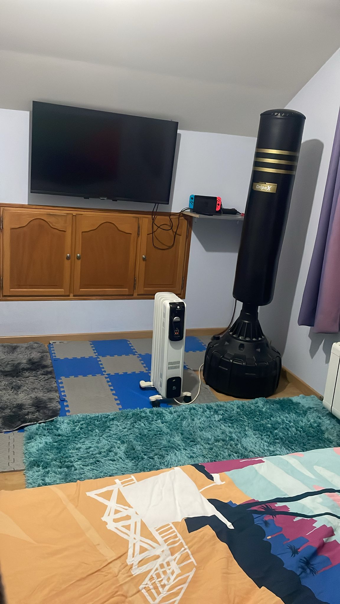 Chambre Chez L'habitant Choisy-le-Roi 411866