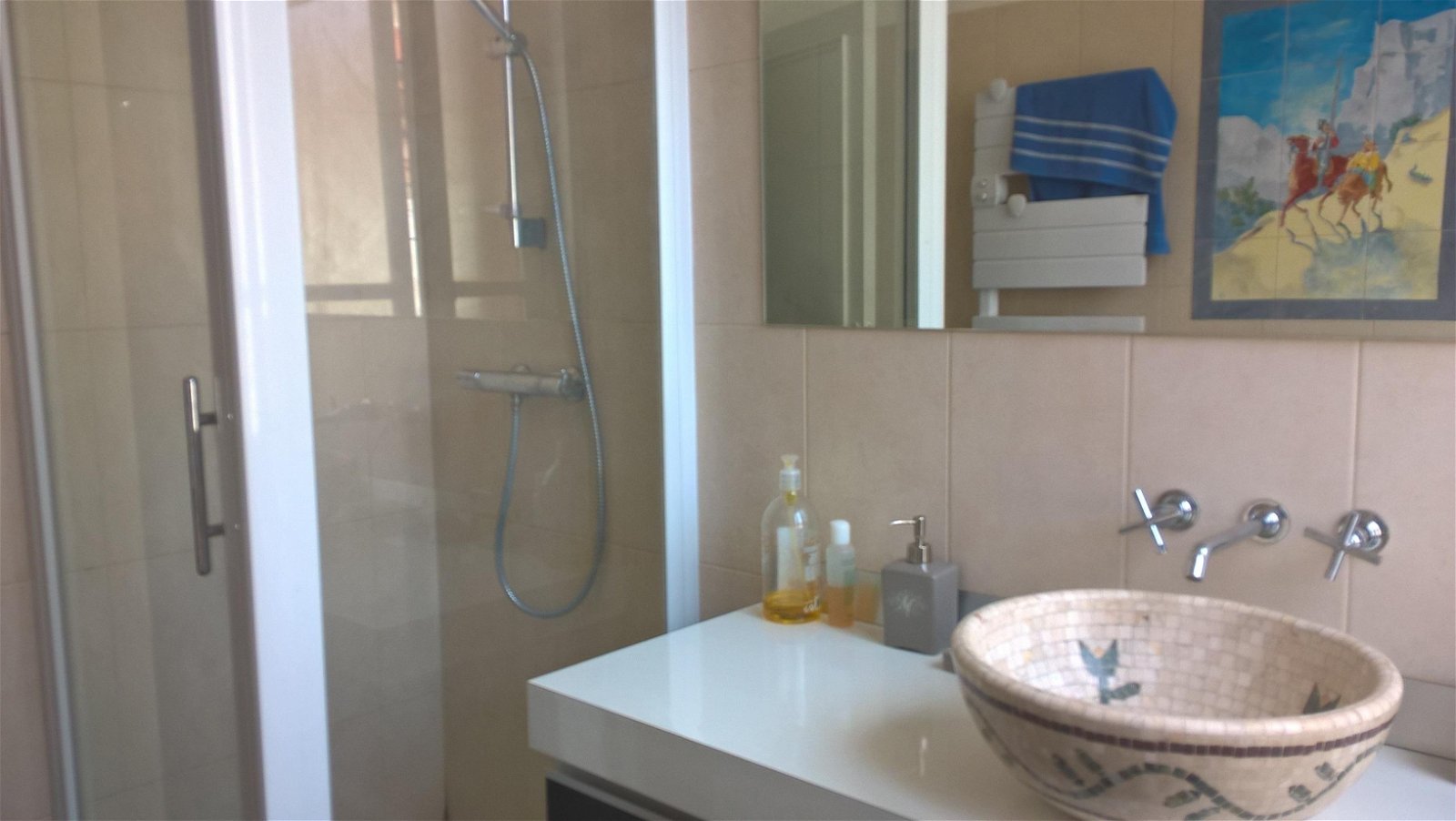 Colocatie Albi 140977