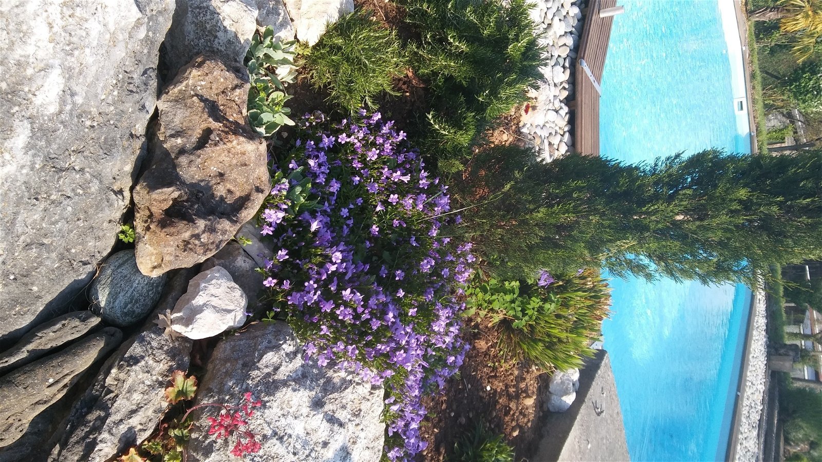 Hospedagem Em Casa De Família Saint-Sauveur 148362